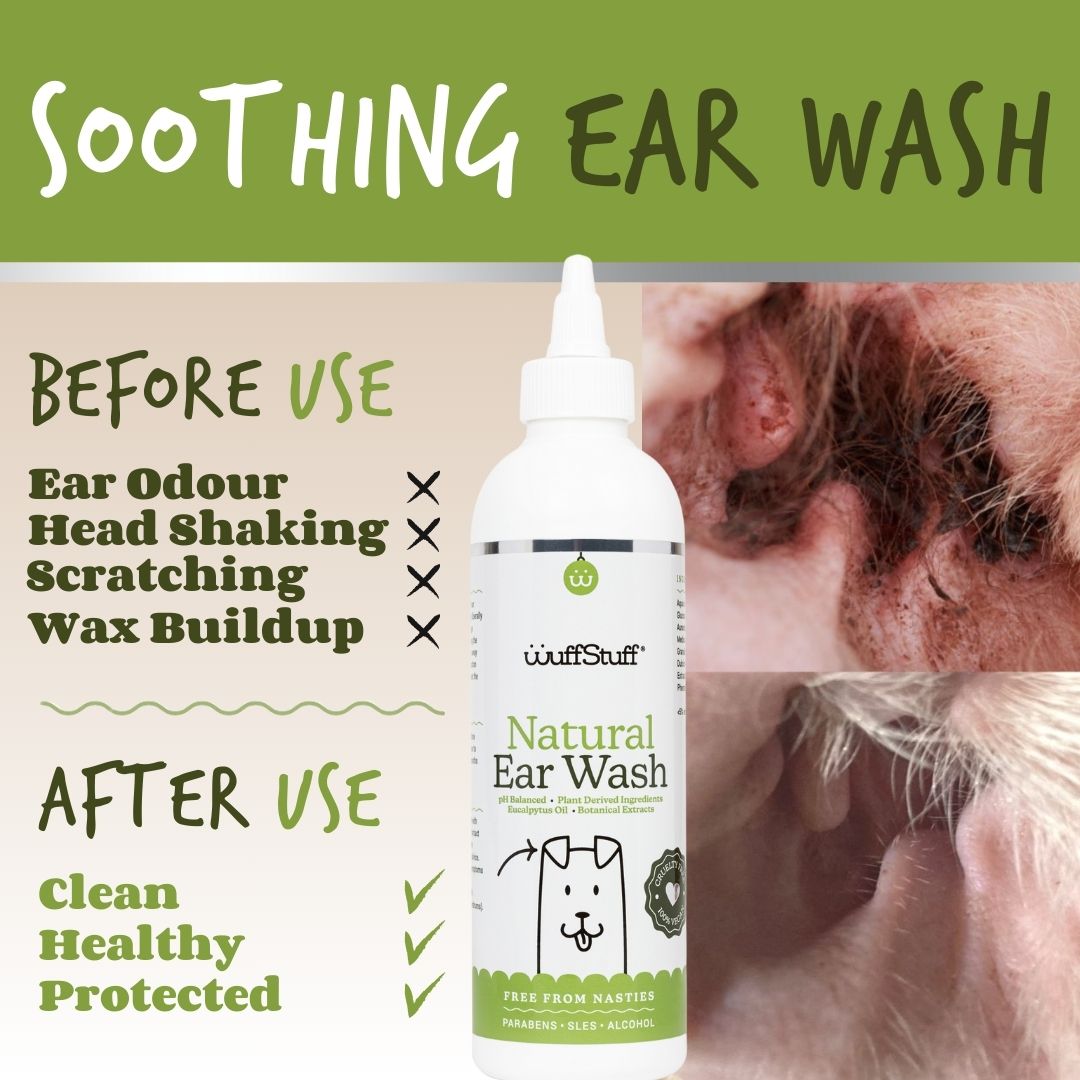 Beautiful view of Skin Irritant Free Dog Wash