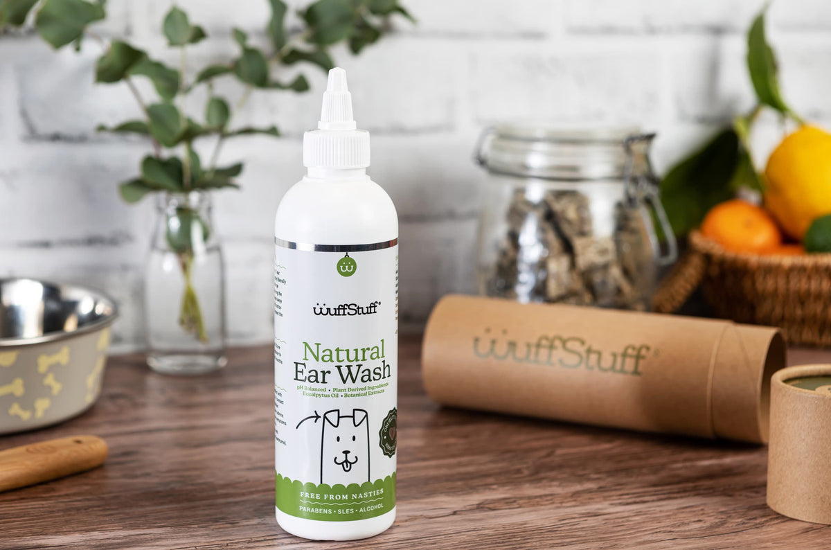 Why do I need to clean my dog's ears? WuffStuff