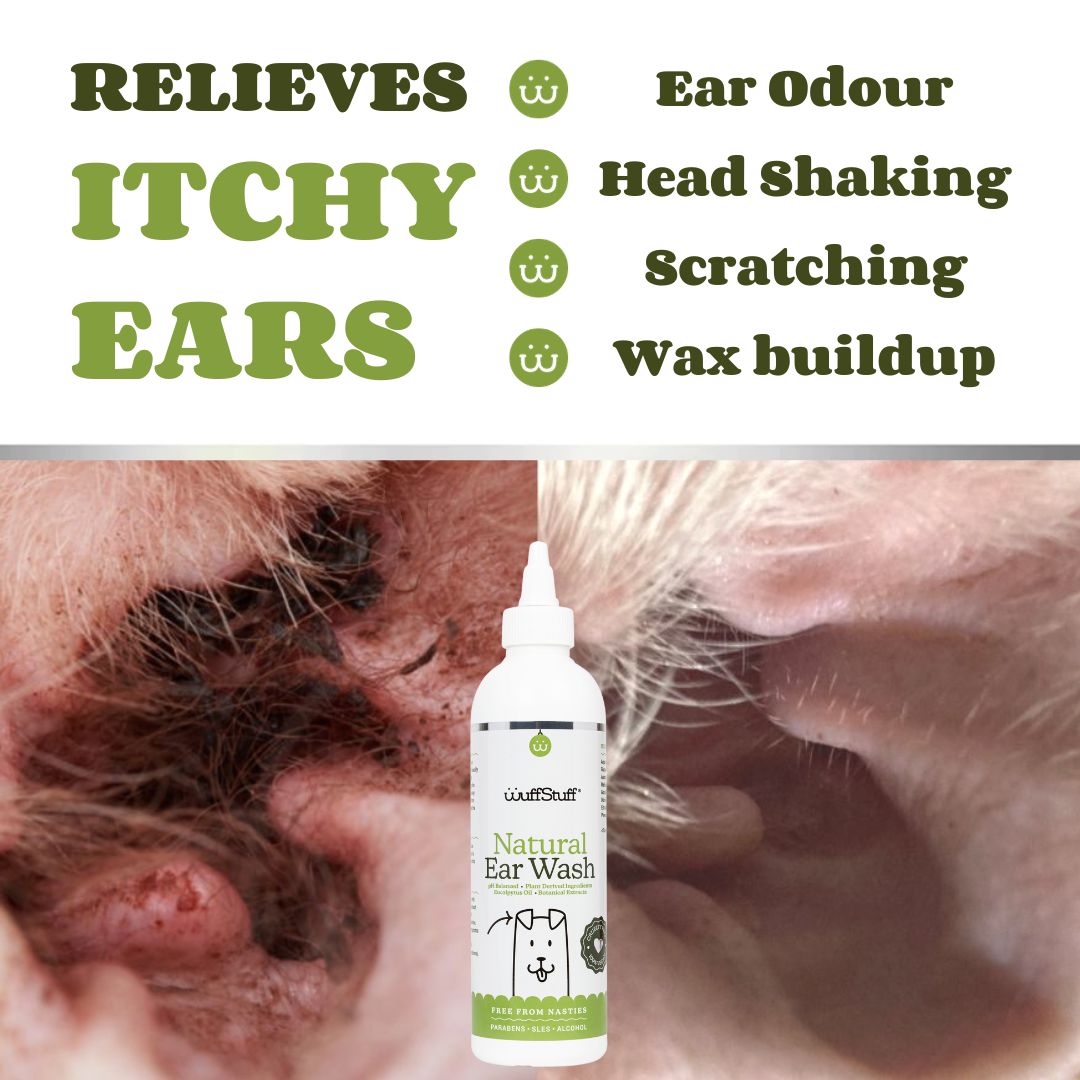 Ear stuff for online dogs